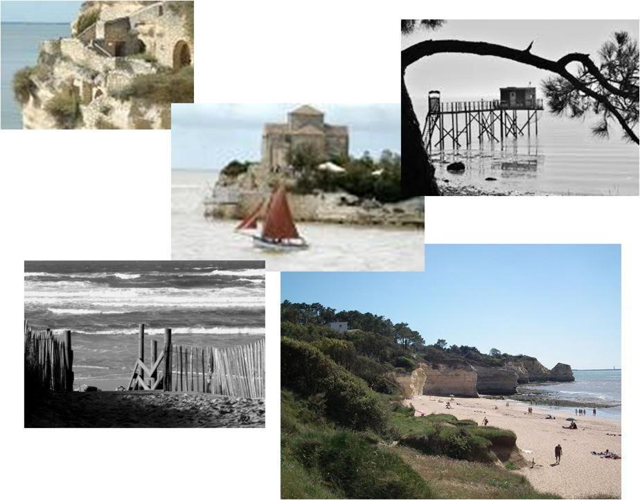 Chambre d'hôtes le Berceau Meschers-sur-Gironde Extérieur photo